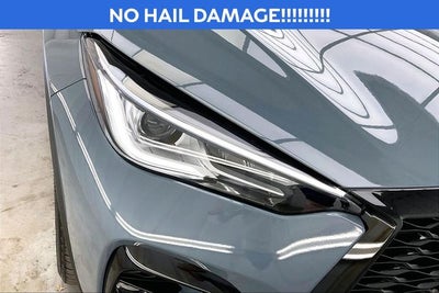 2025 INFINITI QX50 SPORT