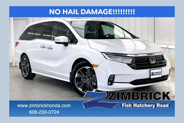 2024 Honda Odyssey Elite's photo