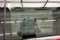 2026 Honda Odyssey Elite InStock