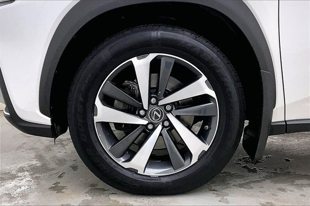 2019 Lexus NX 300 F Sport