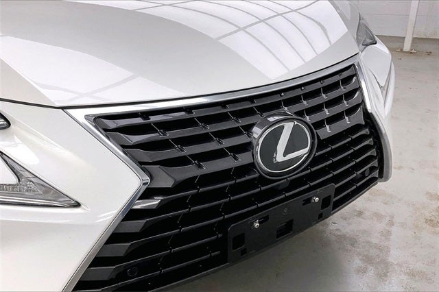 2019 Lexus NX 300 F Sport