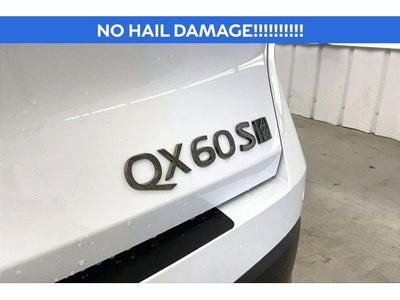 2027 INFINITI QX60 SPORT