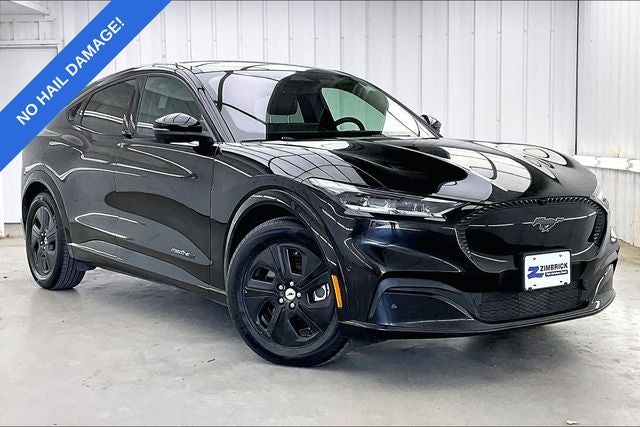 2021 Ford Mustang-Mach-e California Route 1's photo
