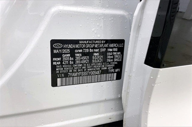 2026 Hyundai IONIQ 9 Performance Calligraphy